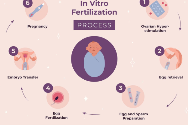 In Vitro Fertilization (IVF): A Comprehensive Overview